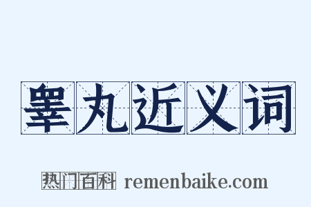 睾丸近义词是什么意思的图片